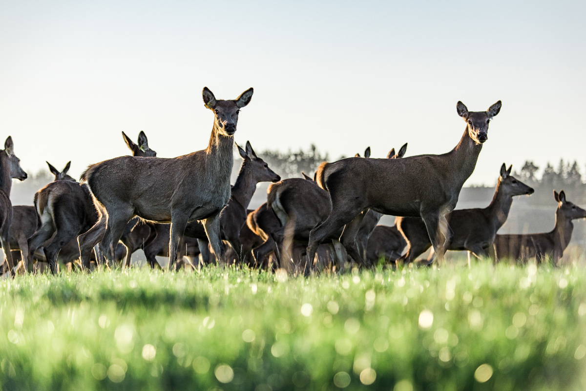 Find a Photographer-15.jpg